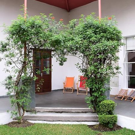 La Casa De Las Magnolias Hotel Coyoacan Buitenkant foto