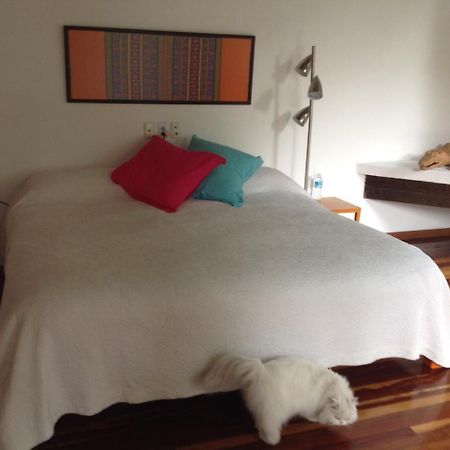 La Casa De Las Magnolias Hotel Coyoacan Buitenkant foto