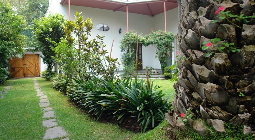 La Casa De Las Magnolias Hotel Coyoacan Buitenkant foto