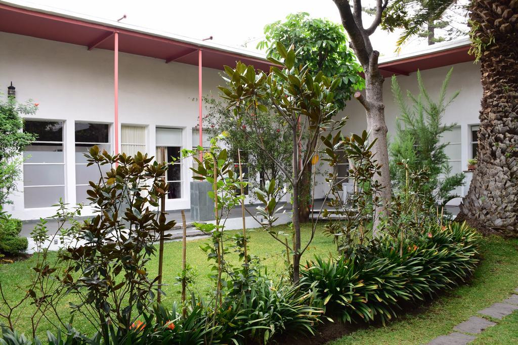 La Casa De Las Magnolias Hotel Coyoacan Buitenkant foto