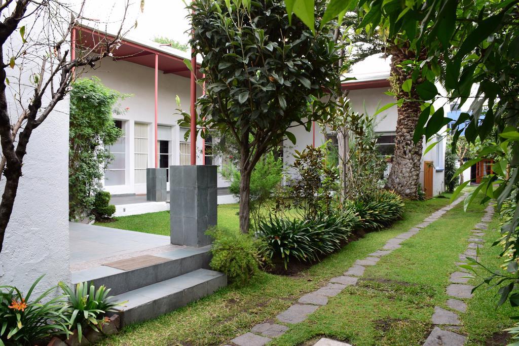 La Casa De Las Magnolias Hotel Coyoacan Buitenkant foto