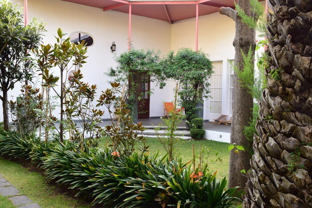 La Casa De Las Magnolias Hotel Coyoacan Buitenkant foto