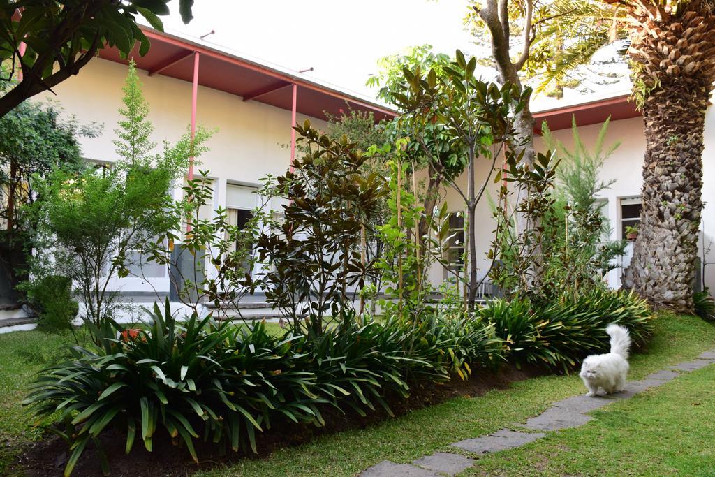 La Casa De Las Magnolias Hotel Coyoacan Buitenkant foto