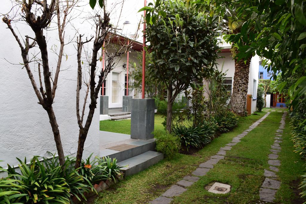 La Casa De Las Magnolias Hotel Coyoacan Buitenkant foto